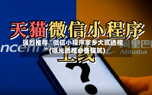 强烈推荐“微信小程序家乡大贰透视	”(曝光透视必备猫腻)-第3张图片