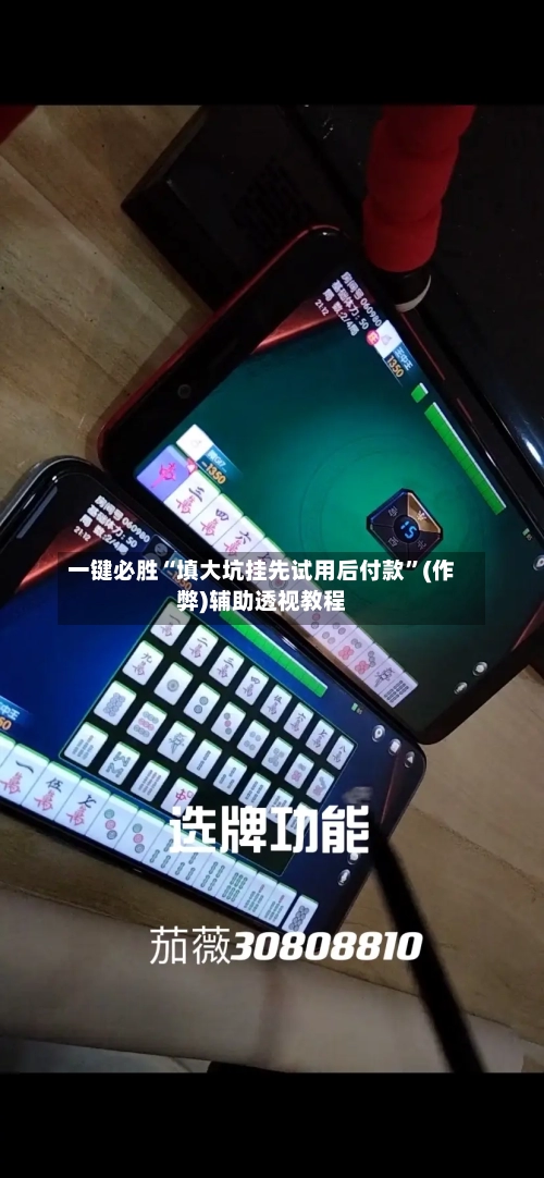 一键必胜“填大坑挂先试用后付款”(作弊)辅助透视教程-第2张图片