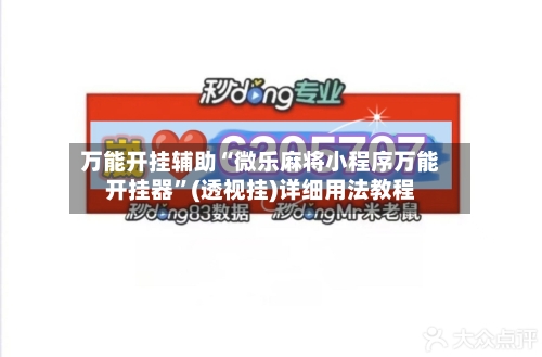 万能开挂辅助“微乐麻将小程序万能开挂器”(透视挂)详细用法教程-第2张图片