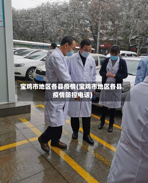 宝鸡市地区各县疫情(宝鸡市地区各县疫情防控电话)-第1张图片