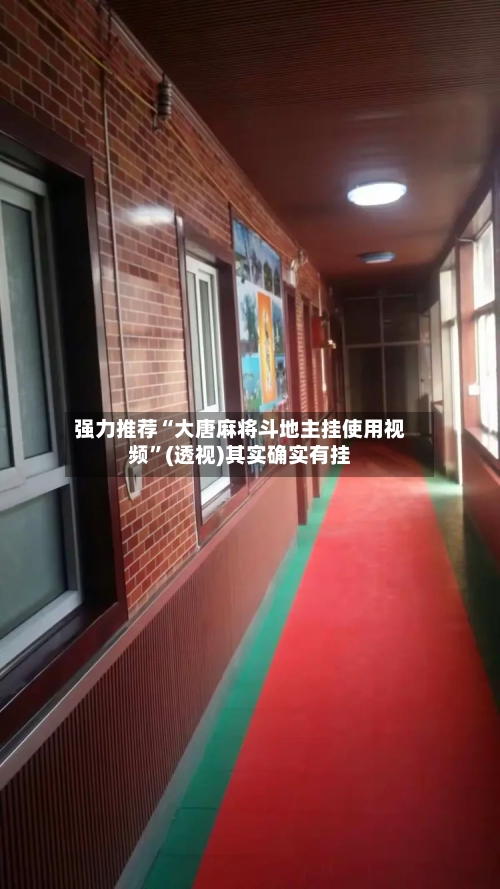 强力推荐“大唐麻将斗地主挂使用视频”(透视)其实确实有挂-第1张图片