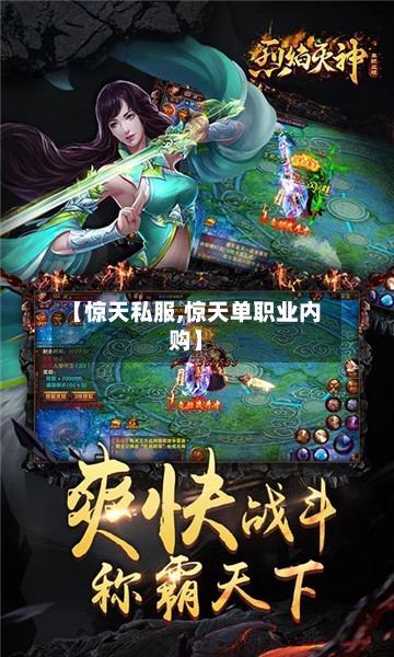 【惊天私服,惊天单职业内购】-第1张图片