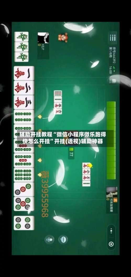 辅助开挂教程“微信小程序微乐跑得快怎么开挂	”开挂(透视)辅助神器-第2张图片