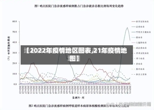【2022年疫情地区图表,21年疫情地图】-第2张图片