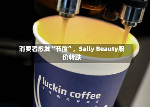 消费者愈发“节俭”，Sally Beauty股价转跌-第2张图片