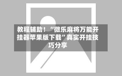 教程辅助！“微乐麻将万能开挂器苹果版下载”真实开挂技巧分享-第2张图片