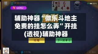辅助神器“微乐斗地主免费的挂怎么弄”开挂(透视)辅助神器-第1张图片