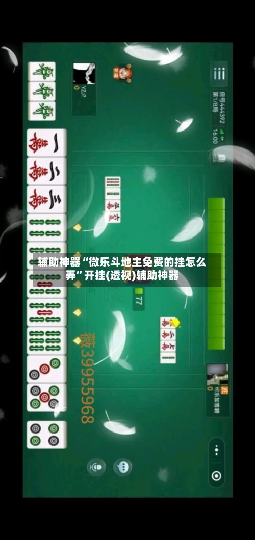 辅助神器“微乐斗地主免费的挂怎么弄”开挂(透视)辅助神器-第3张图片