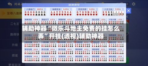 辅助神器“微乐斗地主免费的挂怎么弄	”开挂(透视)辅助神器-第2张图片