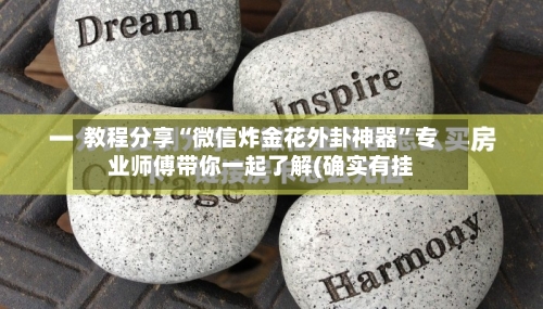 教程分享“微信炸金花外卦神器”专业师傅带你一起了解(确实有挂-第2张图片