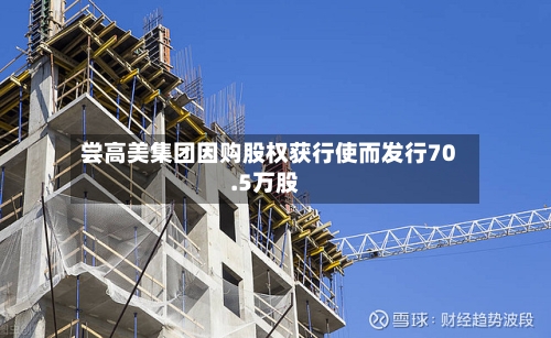 尝高美集团因购股权获行使而发行70.5万股-第1张图片