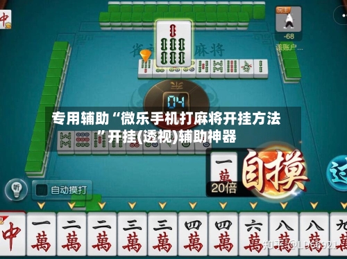 专用辅助“微乐手机打麻将开挂方法”开挂(透视)辅助神器-第3张图片
