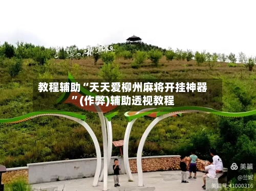 教程辅助“天天爱柳州麻将开挂神器”(作弊)辅助透视教程-第3张图片