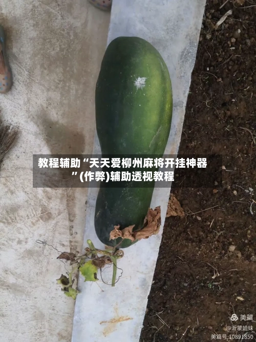 教程辅助“天天爱柳州麻将开挂神器	”(作弊)辅助透视教程-第1张图片