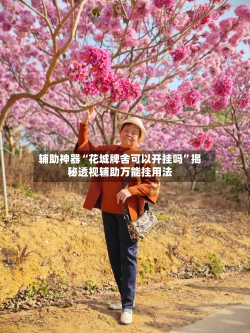 辅助神器“花城牌舍可以开挂吗	”揭秘透视辅助万能挂用法-第3张图片