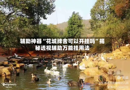 辅助神器“花城牌舍可以开挂吗”揭秘透视辅助万能挂用法-第2张图片