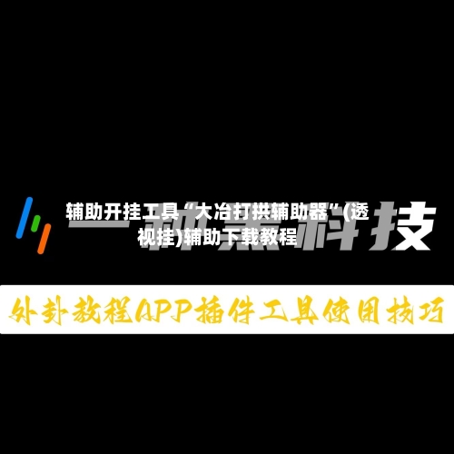 辅助开挂工具“大冶打拱辅助器	”(透视挂)辅助下载教程-第1张图片