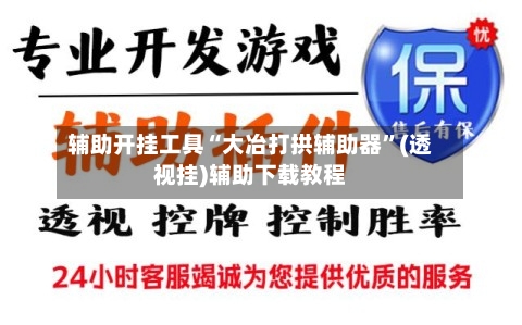 辅助开挂工具“大冶打拱辅助器”(透视挂)辅助下载教程-第2张图片