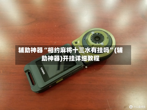 辅助神器“相约麻将十三水有挂吗”(辅助神器)开挂详细教程-第2张图片