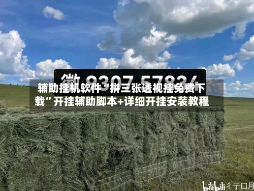 辅助挂机软件“拼三张透视挂免费下载”开挂辅助脚本+详细开挂安装教程-第1张图片