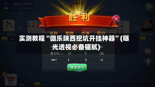 实测教程“微乐陕西挖坑开挂神器”(曝光透视必备猫腻)-第2张图片