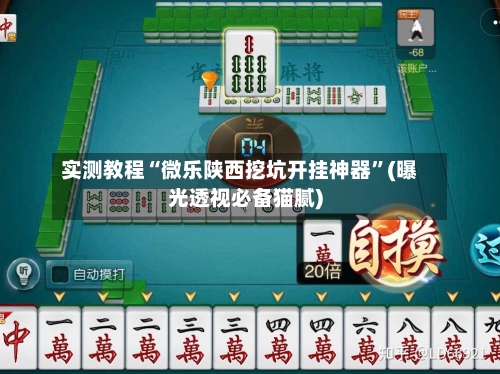 实测教程“微乐陕西挖坑开挂神器	”(曝光透视必备猫腻)-第1张图片