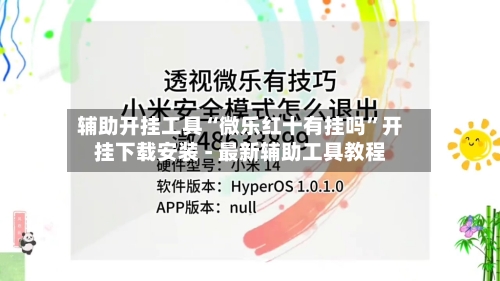 辅助开挂工具“微乐红十有挂吗	”开挂下载安装 - 最新辅助工具教程-第2张图片