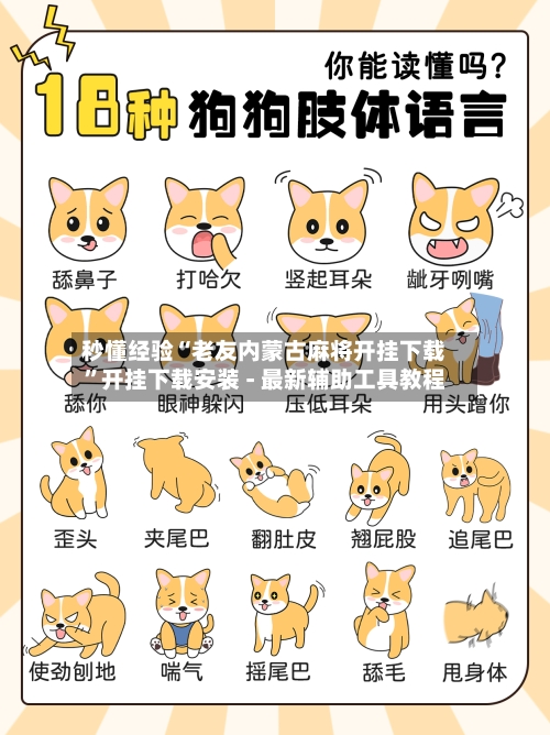 秒懂经验“老友内蒙古麻将开挂下载	”开挂下载安装 - 最新辅助工具教程-第1张图片