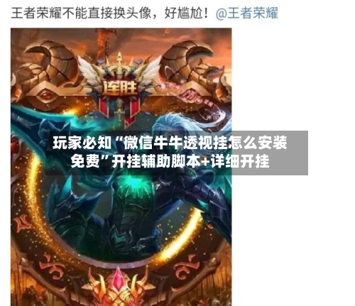 玩家必知“微信牛牛透视挂怎么安装免费”开挂辅助脚本+详细开挂-第1张图片