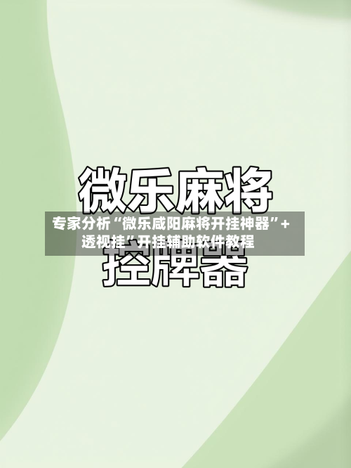 专家分析“微乐咸阳麻将开挂神器”+透视挂	”开挂辅助软件教程-第1张图片