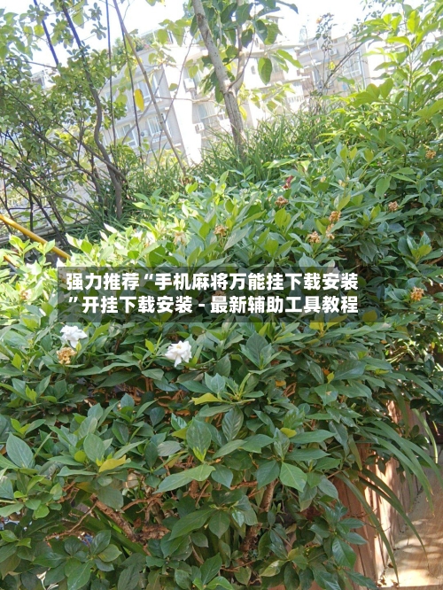 强力推荐“手机麻将万能挂下载安装”开挂下载安装 - 最新辅助工具教程-第2张图片