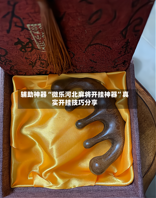 辅助神器“微乐河北麻将开挂神器”真实开挂技巧分享-第2张图片