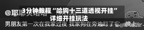 3分钟教程“哈狗十三道透视开挂”详细开挂玩法-第2张图片