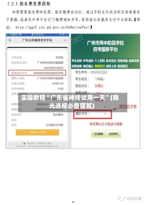 实操教程“广东雀神挂试用一天	”(曝光透视必备猫腻)-第3张图片