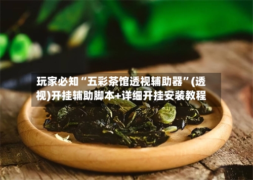 玩家必知“五彩茶馆透视辅助器	”(透视)开挂辅助脚本+详细开挂安装教程-第2张图片