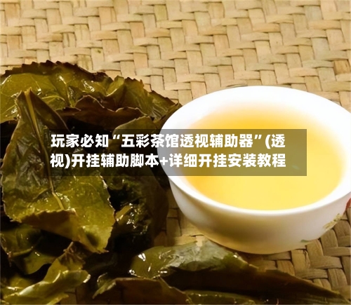玩家必知“五彩茶馆透视辅助器”(透视)开挂辅助脚本+详细开挂安装教程-第1张图片