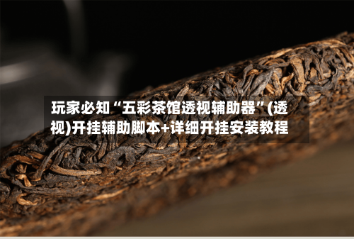 玩家必知“五彩茶馆透视辅助器”(透视)开挂辅助脚本+详细开挂安装教程-第3张图片
