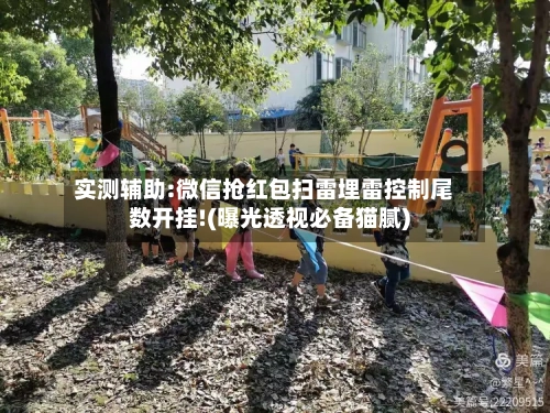 实测辅助:微信抢红包扫雷埋雷控制尾数开挂!(曝光透视必备猫腻)-第2张图片