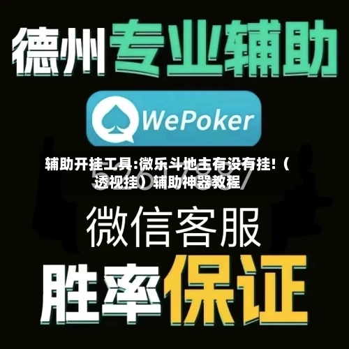 辅助开挂工具:微乐斗地主有没有挂!（透视挂）辅助神器教程-第2张图片