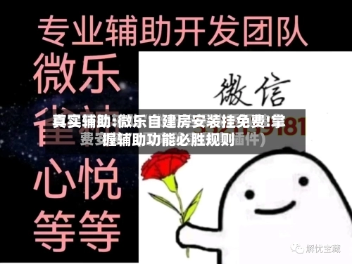 真实辅助:微乐自建房安装挂免费!掌握辅助功能必胜规则-第2张图片