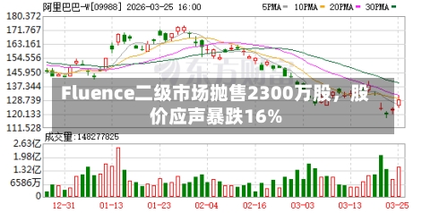 Fluence二级市场抛售2300万股，股价应声暴跌16%-第1张图片