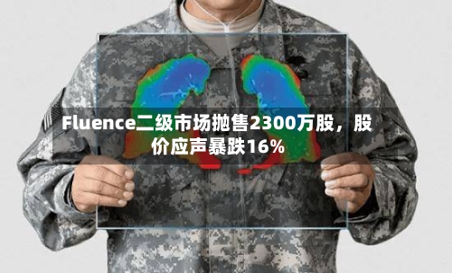 Fluence二级市场抛售2300万股，股价应声暴跌16%-第3张图片