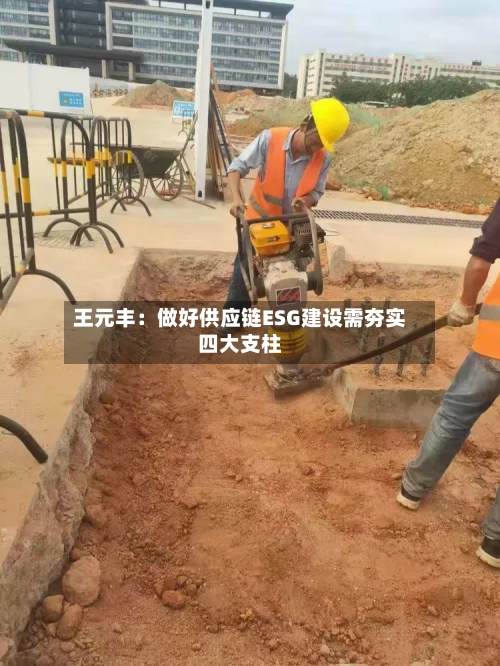 王元丰：做好供应链ESG建设需夯实四大支柱-第1张图片