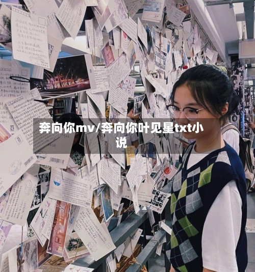 奔向你mv/奔向你叶见星txt小说-第2张图片