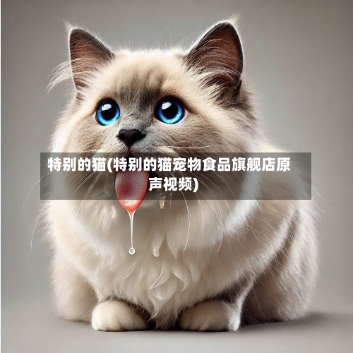 特别的猫(特别的猫宠物食品旗舰店原声视频)-第3张图片