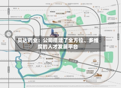 贝达药业：公司搭建了全方位、多维度的人才发展平台-第1张图片