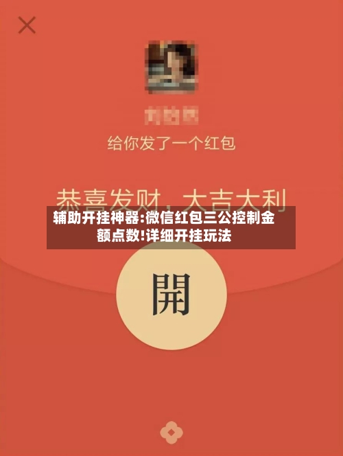 辅助开挂神器:微信红包三公控制金额点数!详细开挂玩法-第2张图片