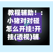 教程辅助！:小猪对对碰怎么开挂!开挂(透视)辅助神器-第1张图片