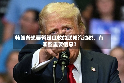 特朗普想要暂缓征收的联邦汽油税，有哪些重要信息？-第3张图片
