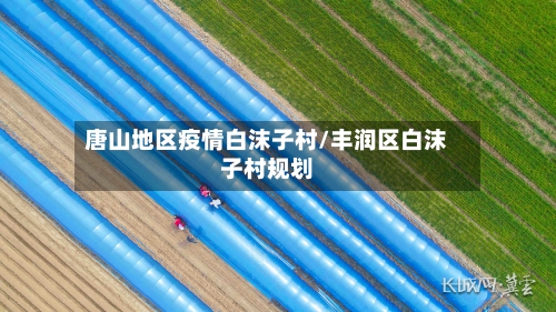 唐山地区疫情白沫子村/丰润区白沫子村规划-第3张图片